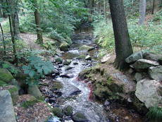 duerrhennersdorfer-wasser.jpg